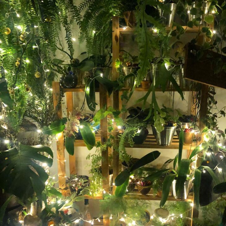 Foto de decoracao de natal 251 - 118