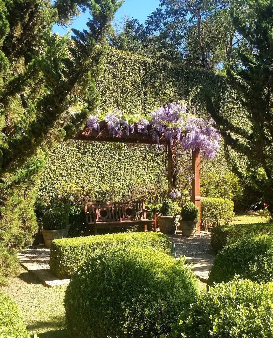 Foto de pergolado 062 - 61