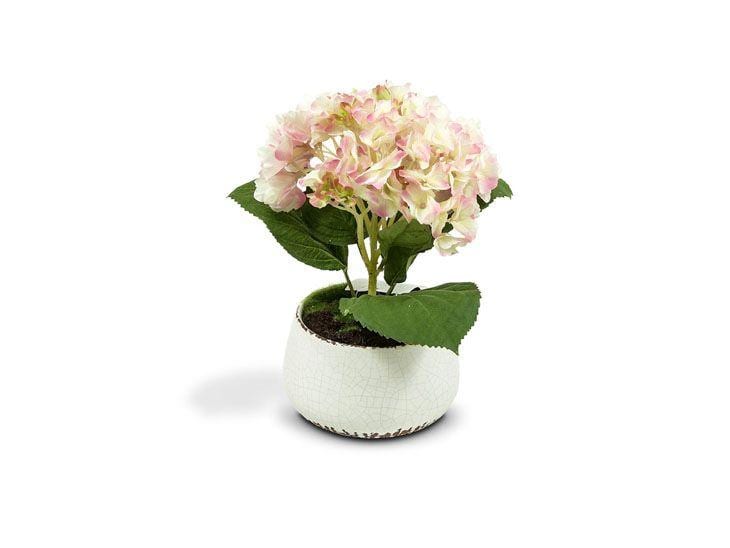 Arranjo hortência creme e rosa por R$219,00 na <a href="http://www.ceciliadale.com.br/vaso-redondo-com-hortensia-creme-e-rosa-em-ceramica-41x23x41cm-36194.aspx/p" target="blank_">Cecilia Dale</a>