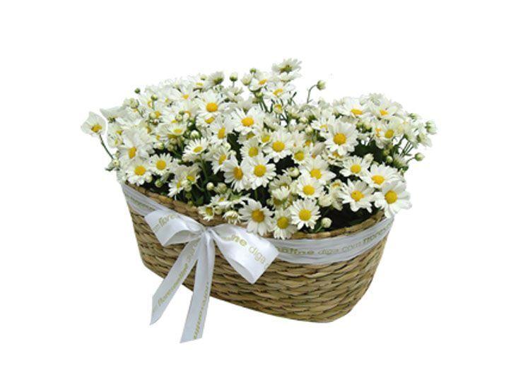 Jardim pronto de mini margaridas por R$85,00 na <a href="http://www.floresonline.com.br/detalhe.asp?flor=5092" target="blank_">Flores Online</a>