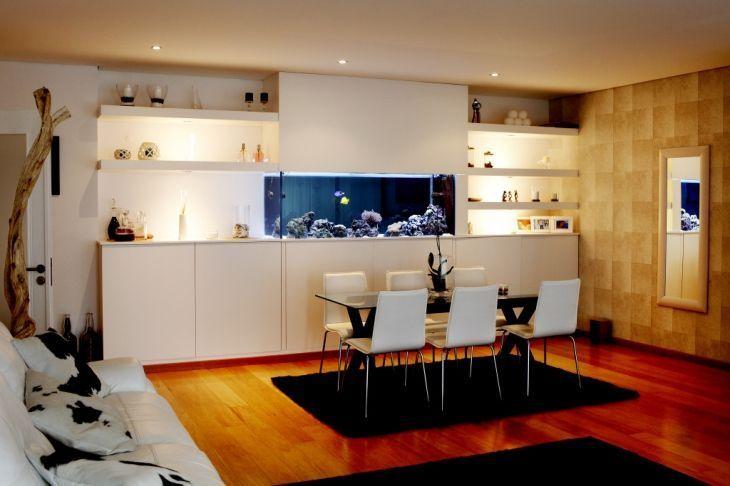 Foto: Reprodução / ADN Aquarium Design