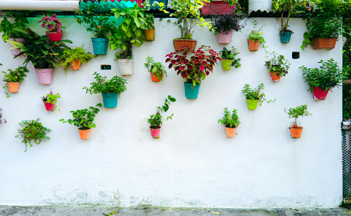 Dicas práticas e ideias para ter uma horta vertical em casa
