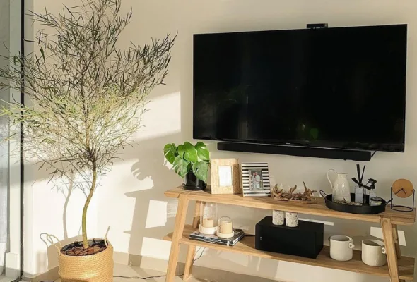 Bambu mossô: como cultivar e inspirações para usá-lo na decoração