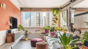 Foto de plantas para ambientes fechados que limpam o ar da casa 0 - 4