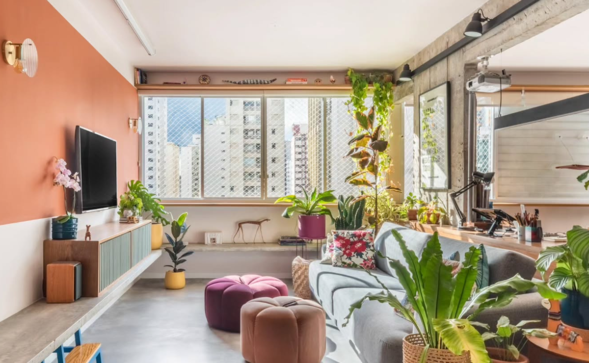 10 plantas que limpam o ar da casa indicadas para ambientes fechados