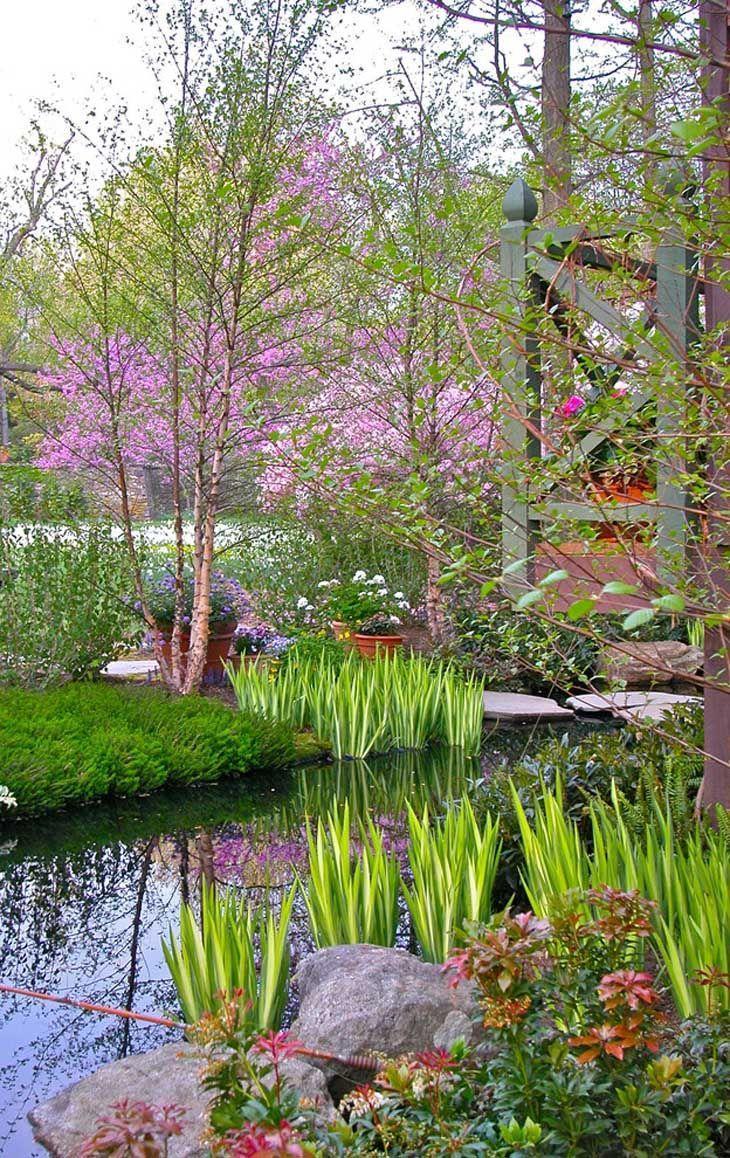 Foto de lago jardim 18 - 21