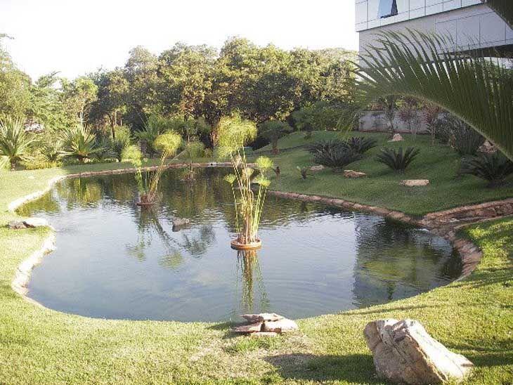 Foto de lago jardim 39 - 40