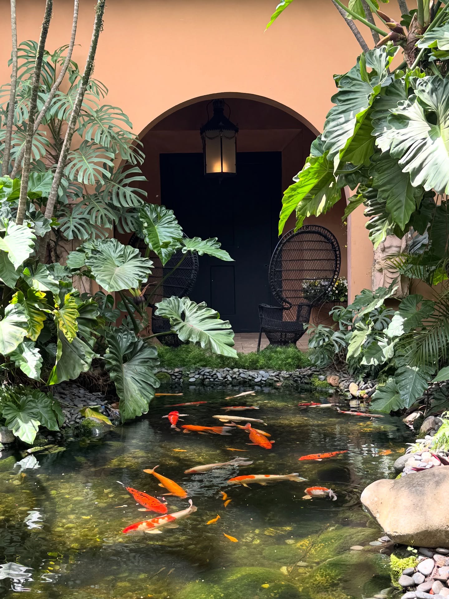 lago no jardim com carpas.