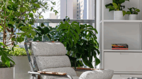 Foto de decoracao com plantas 000 - 2