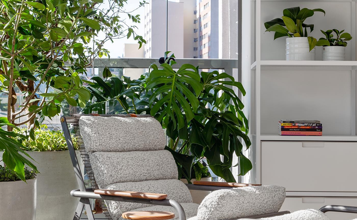 Decoração com plantas: como incluir diversas espécies em seu projeto