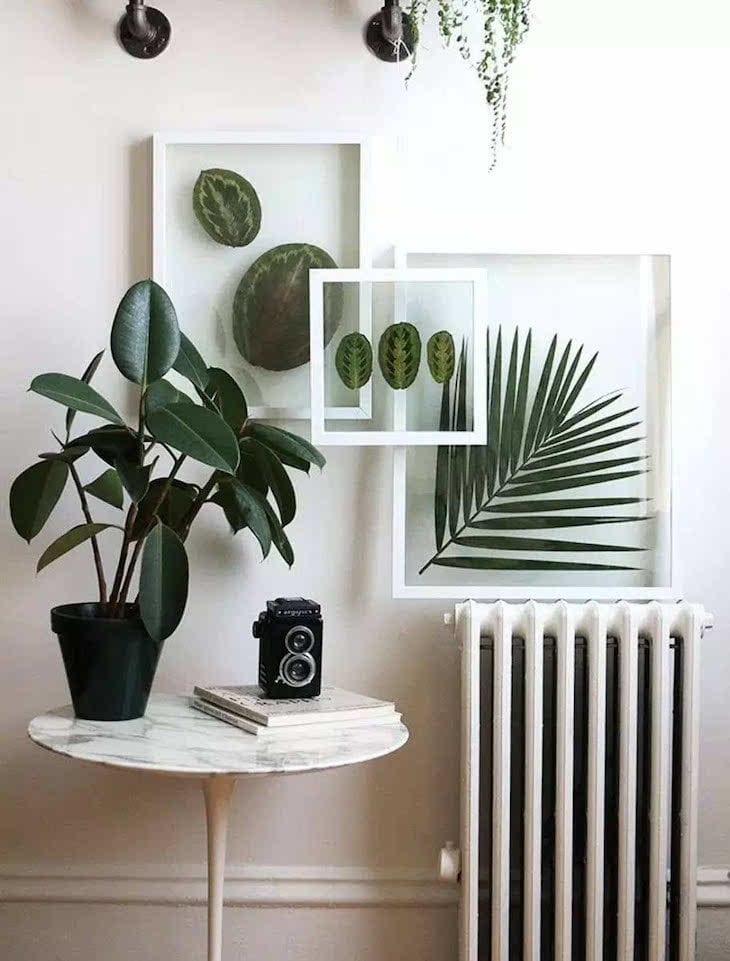 Foto de decoracao com plantas 9 - 11