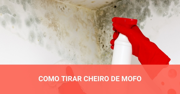 Como tirar cheiro de mofo: dicas para evitar o problema