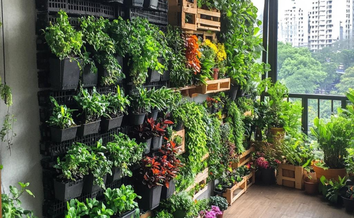 Horta em apartamento: como fazer, o que plantar, passo a passo e fotos
