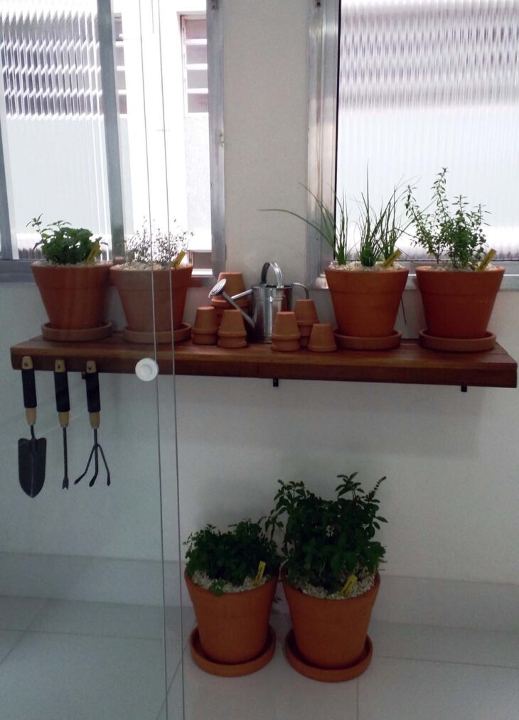 Foto de horta em apartamento 2 - 3