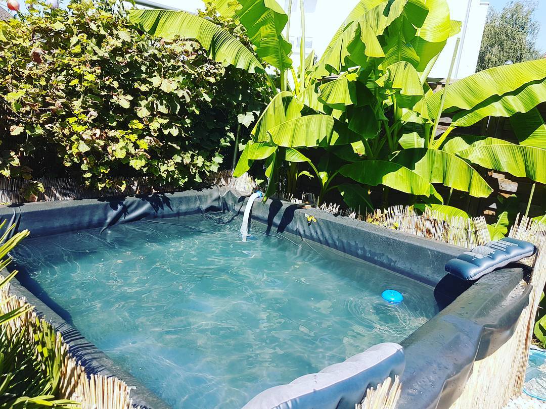 Foto de Piscina de pallet 7 1 - 12