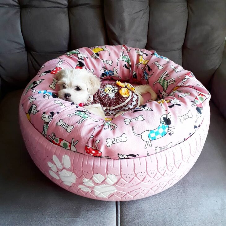 cama para cachorro