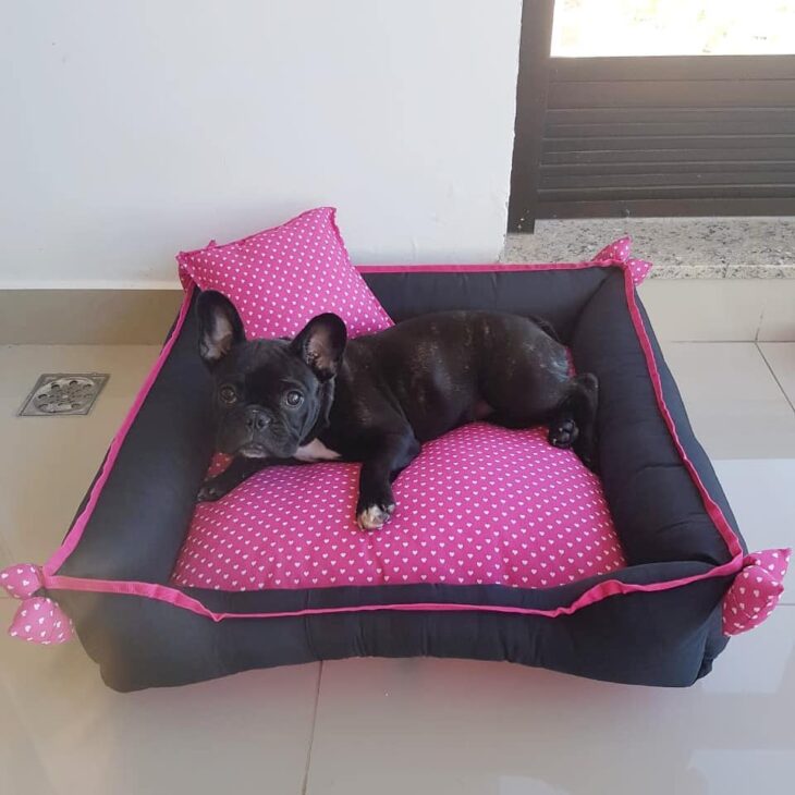 cama para cachorro