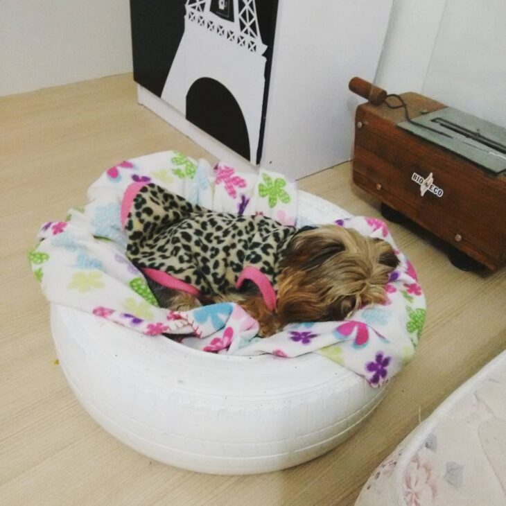 cama para cachorro