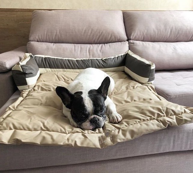 cama para cachorro