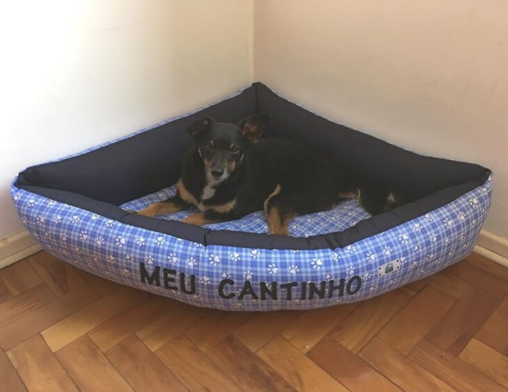 cama para cachorro