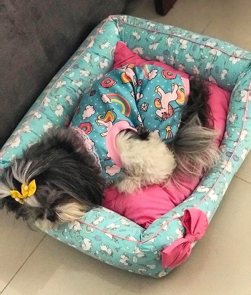 Cama para cachorro: 45 modelos criativos [COMO FAZER]