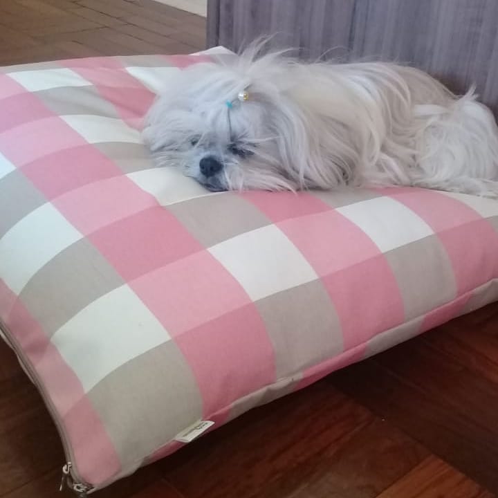 cama para cachorro