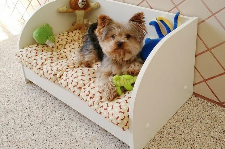 cama para cachorro