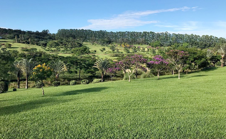 Foto de como plantar grama 5 - 1