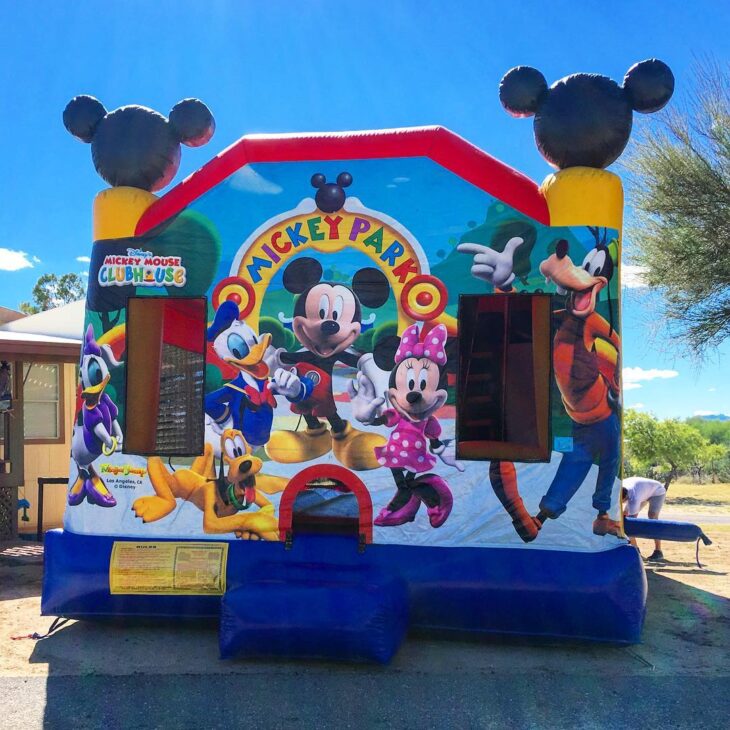 Foto de festa do mickey 36 - 36