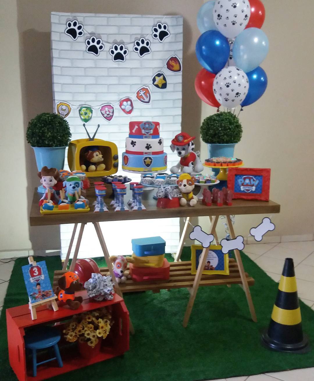 Foto de festa patrulha canina 22 - 22