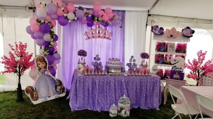 Foto de festa princesa sofia 49 - 49