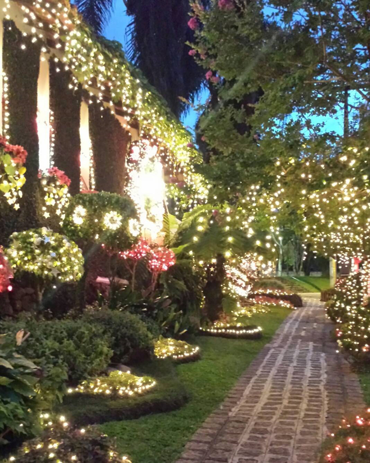 Foto de como fazer decoracao de natal 95 - 97