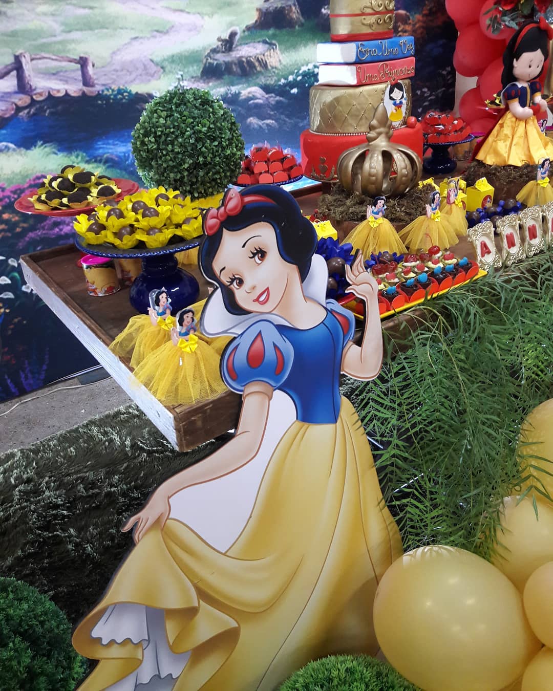 Foto de festa branca de neve 108 - 108