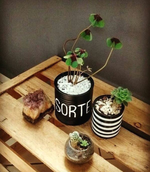 Foto de vasos para plantas 35 - 28