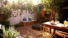 Foto de plantas para jardim 000 - 5