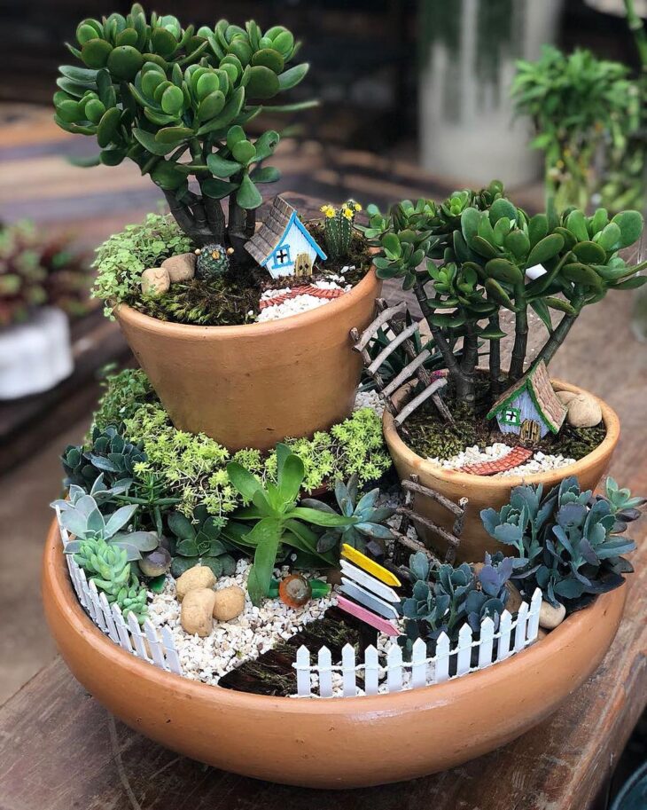 Foto de mini jardim 1 - 4