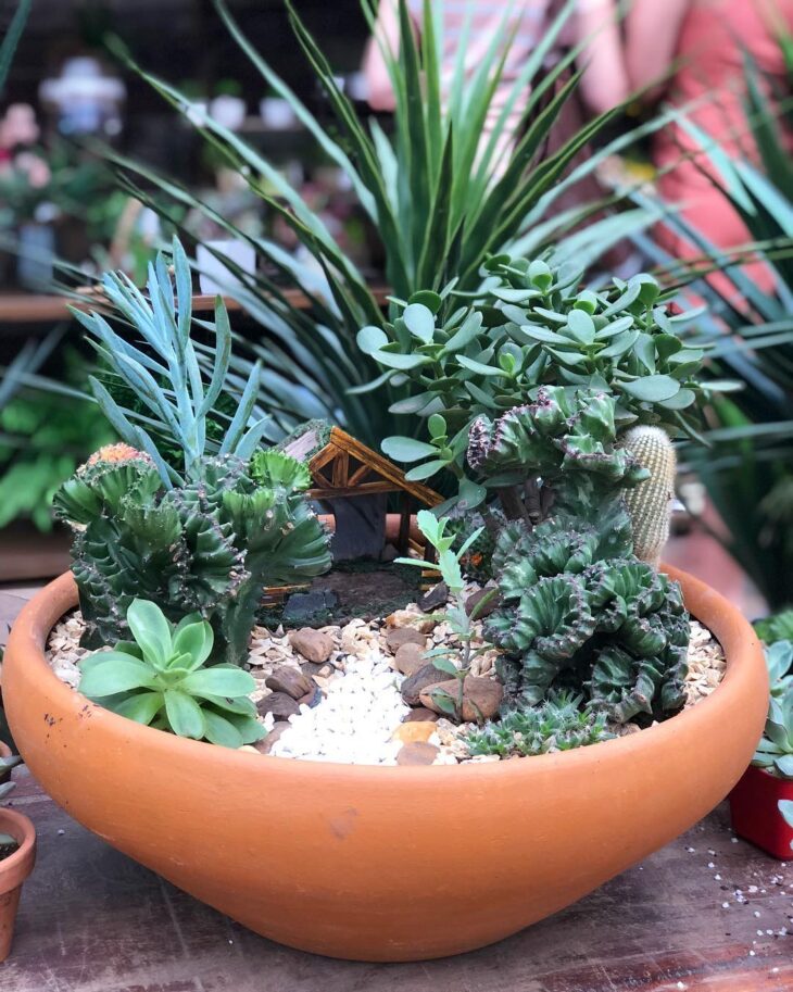 Foto de mini jardim 7 - 10