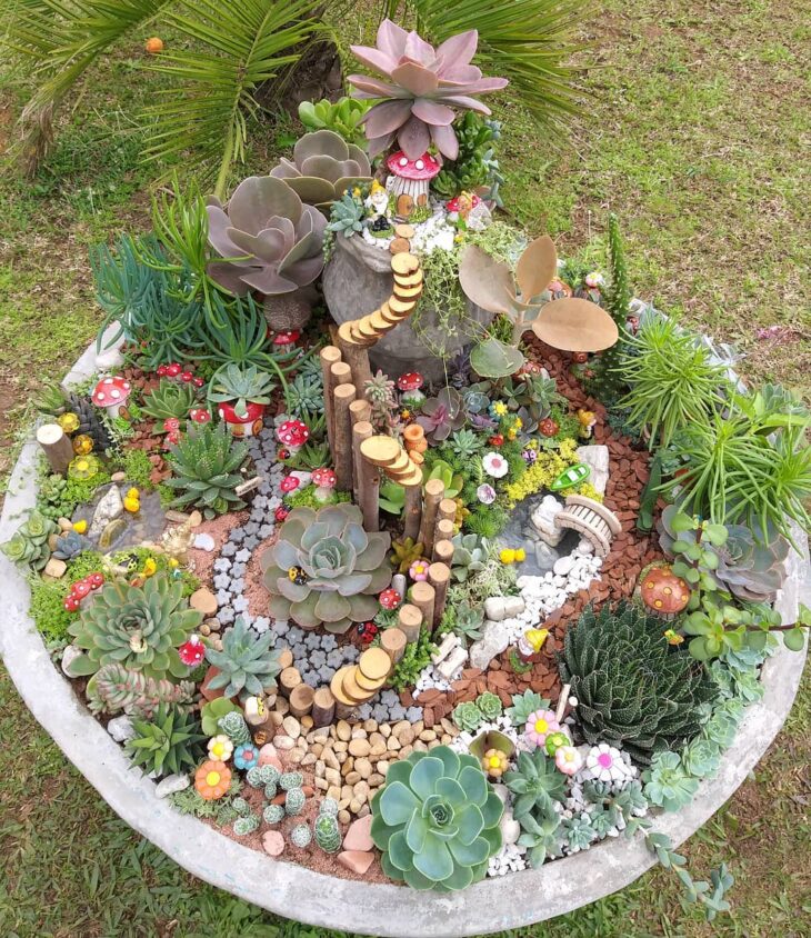 Foto de mini jardim 8 - 11