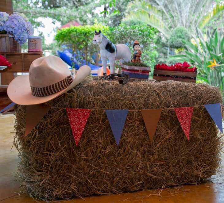 Foto de festa country 21 - 24