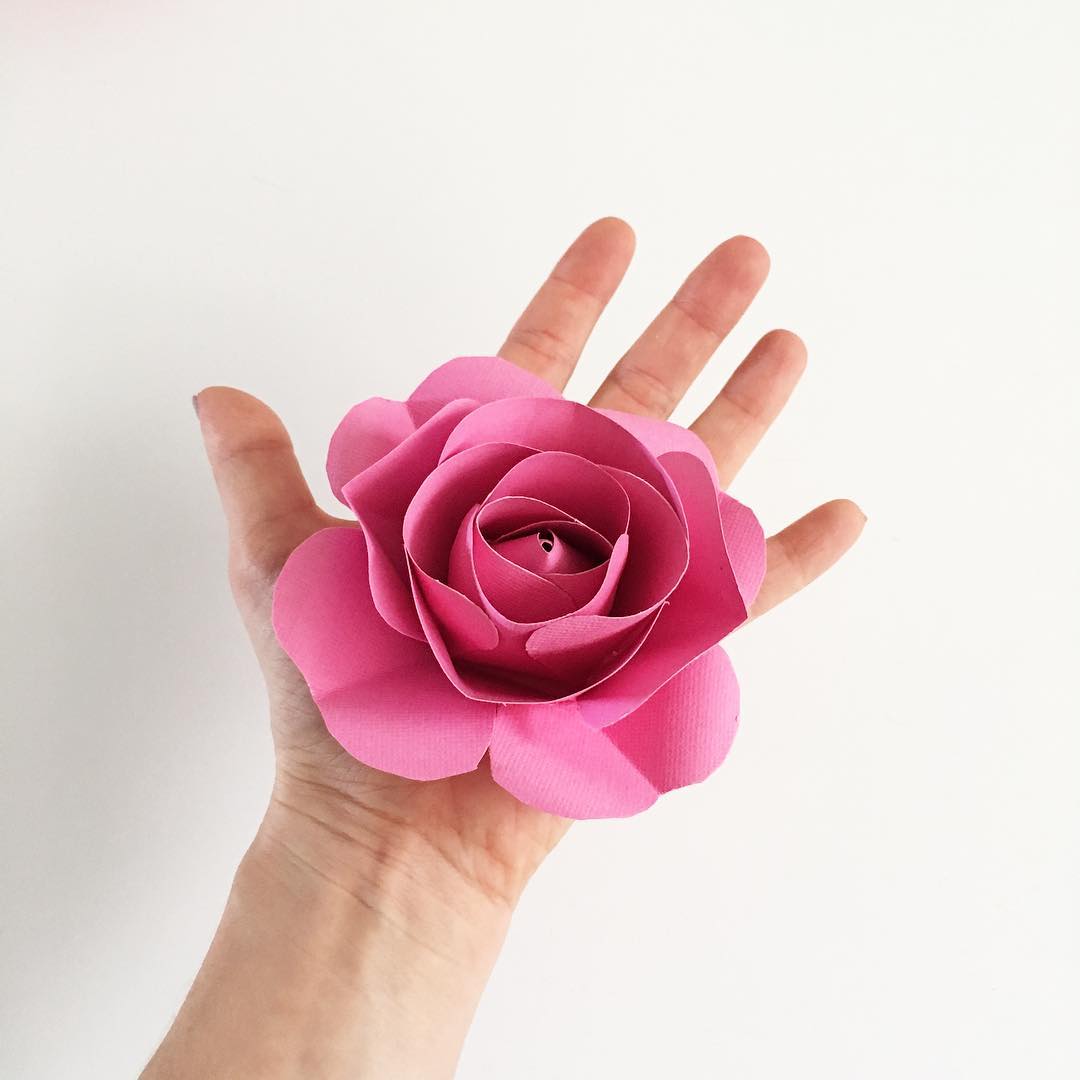 Foto de rosas de papel 43 - 46