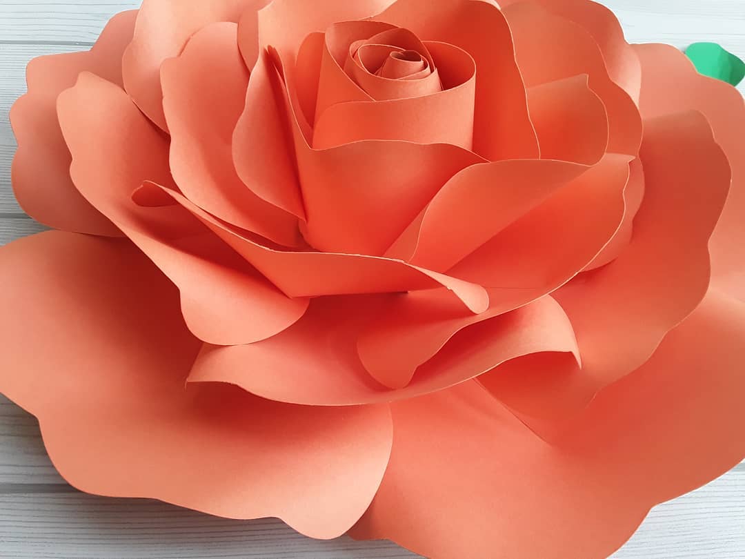 Foto de rosas de papel 47 - 50