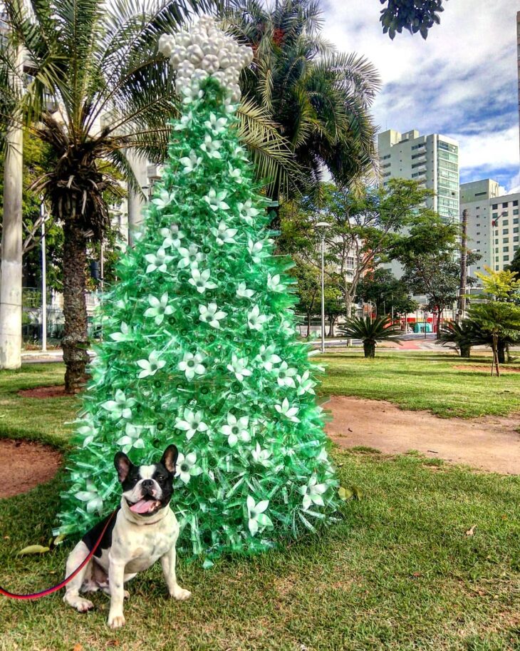 Foto de arvore de natal de garrafa pet 16 - 18