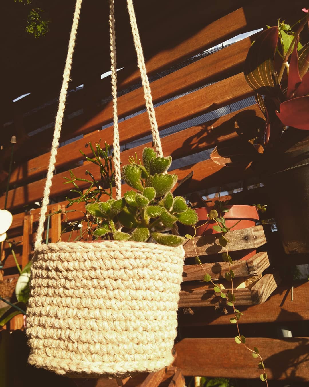 Foto de suporte para plantas 30 - 33