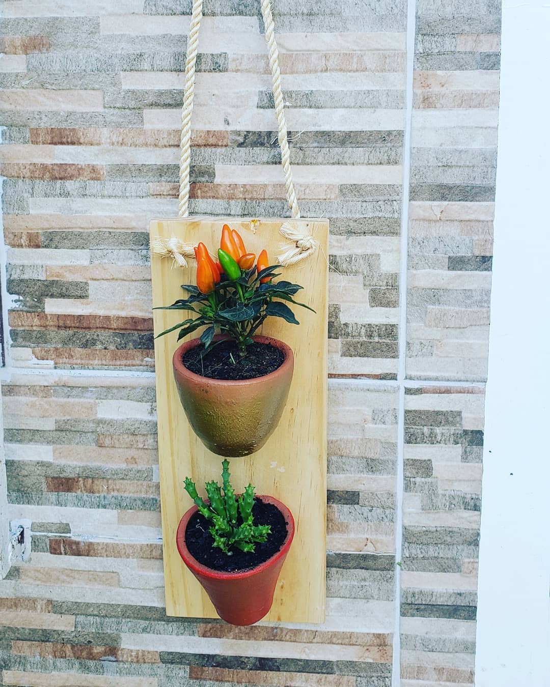 Foto de suporte para plantas 6 - 9