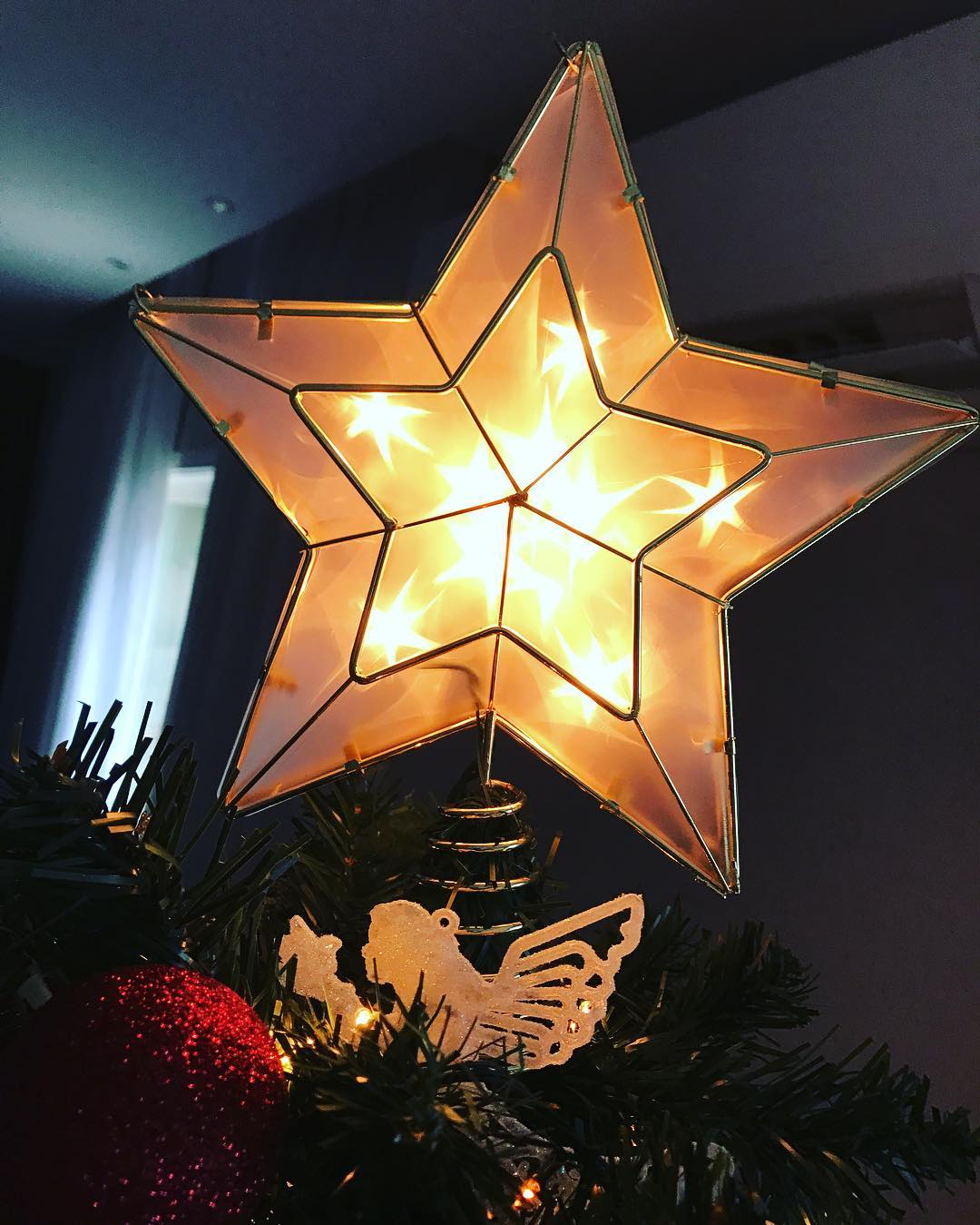 Foto de estrela de natal 24 - 27