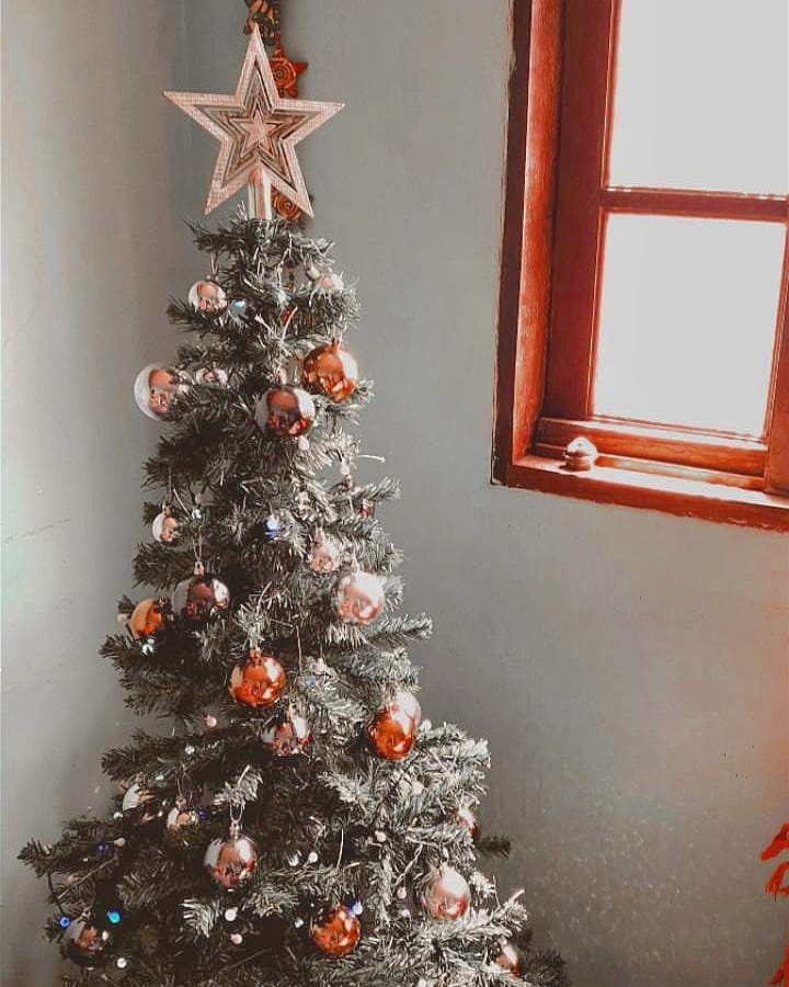 Foto de estrela de natal 63 - 66