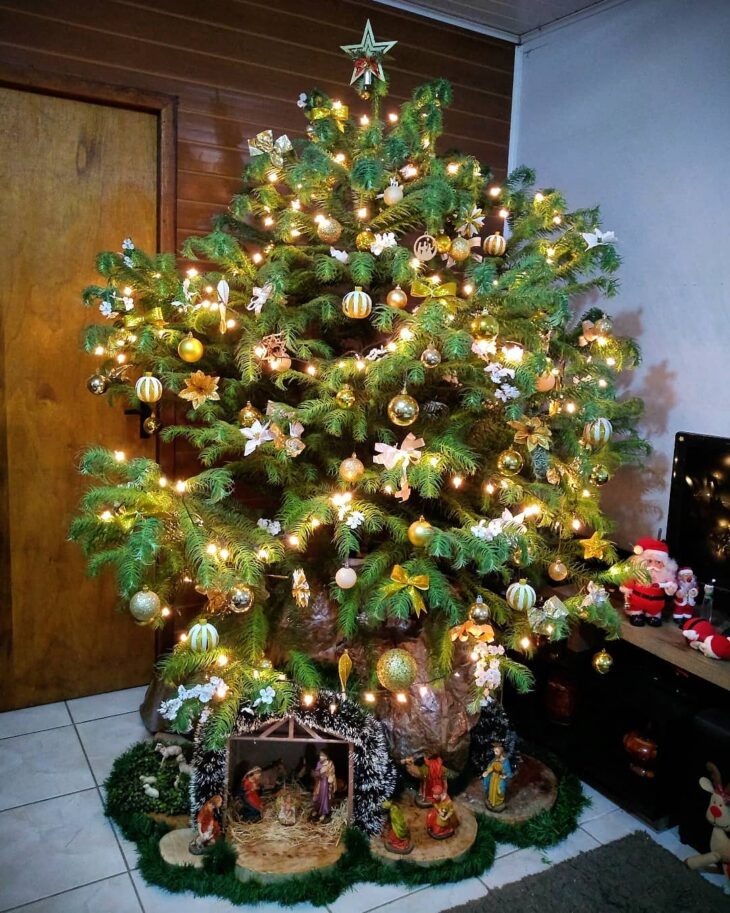 Foto de pinheiro de natal 105 - 8