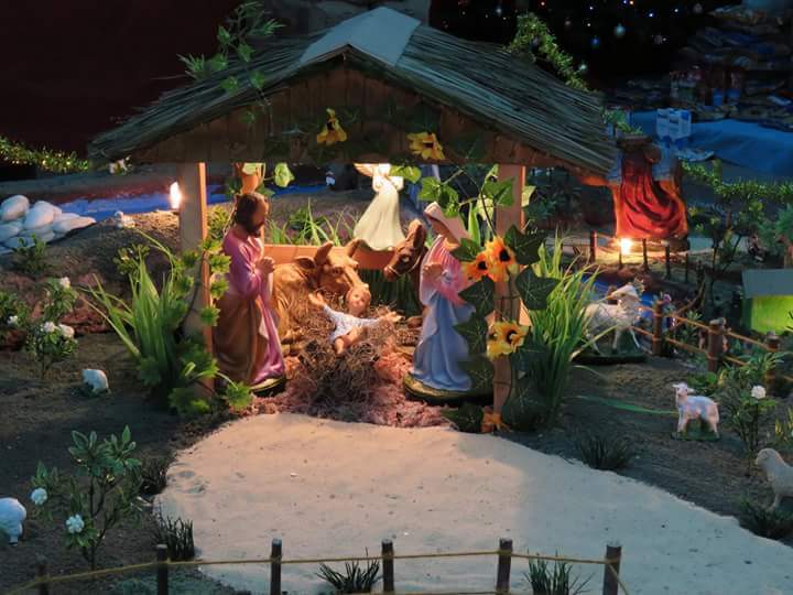 Foto de presepio 3 - 3