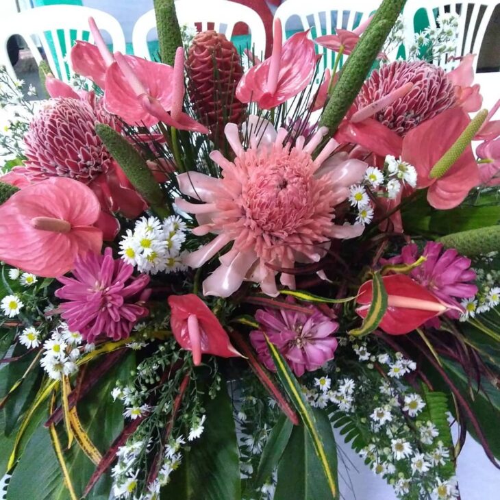 Foto de flores tropicais 18 - 21