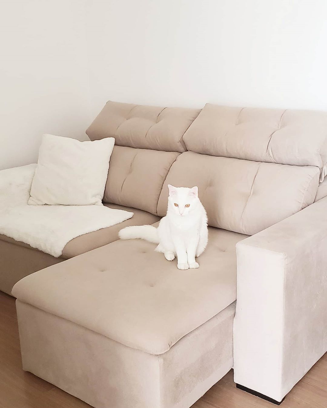 Foto de sofa bege 12 - 12